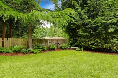Keep Your Trees and Shrubs Healthy With Deep Root Fertilization