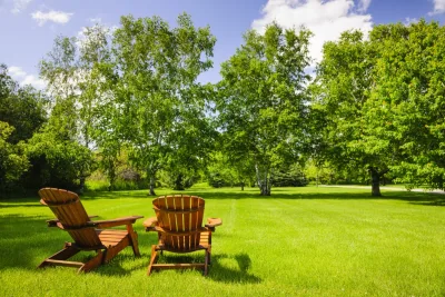Tree Spraying: How it Prevents Pests and Disease