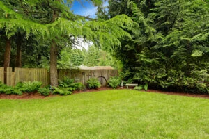 Professional tree spraying for pests and disease on Long Island