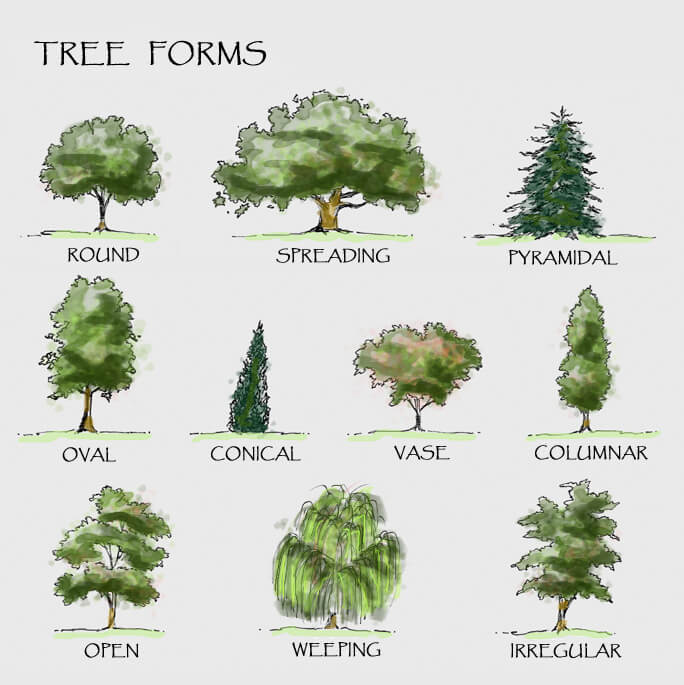 Tree Shapes Organically Green