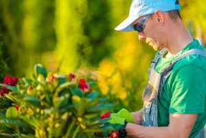 prepare your property for spring