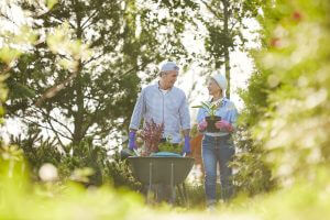 Planting in August