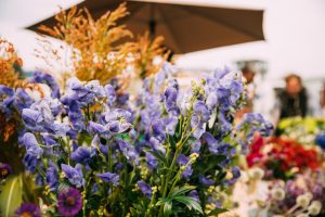 fall flowers