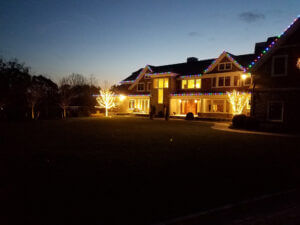 Mosquito Control Oyster Bay, NY