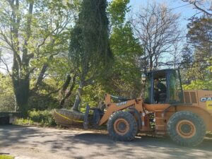 Mosquito Control Oyster Bay, NY