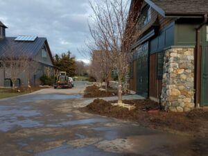 Mosquito Control Oyster Bay, NY