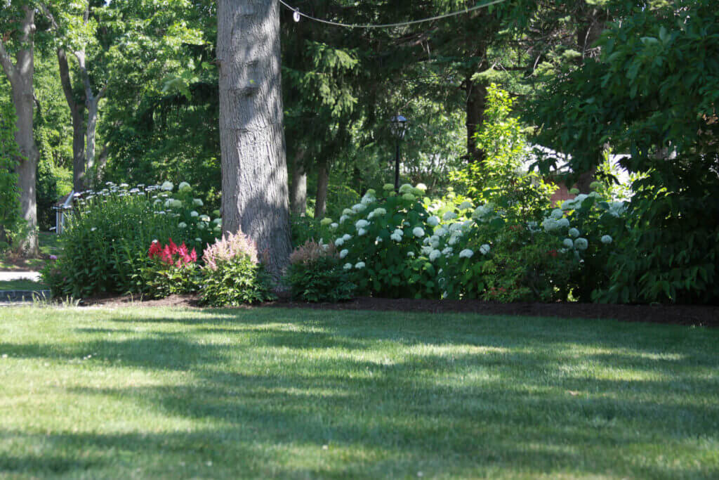 Mosquito Control Oyster Bay, NY