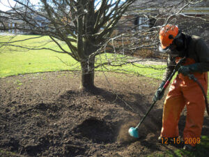 Mosquito Control Oyster Bay, NY