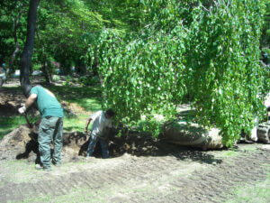 Mosquito Control Oyster Bay, NY