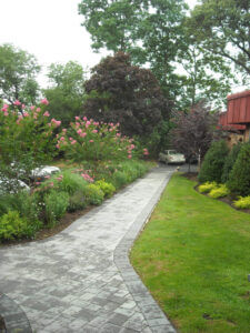 Mosquito Control Oyster Bay, NY
