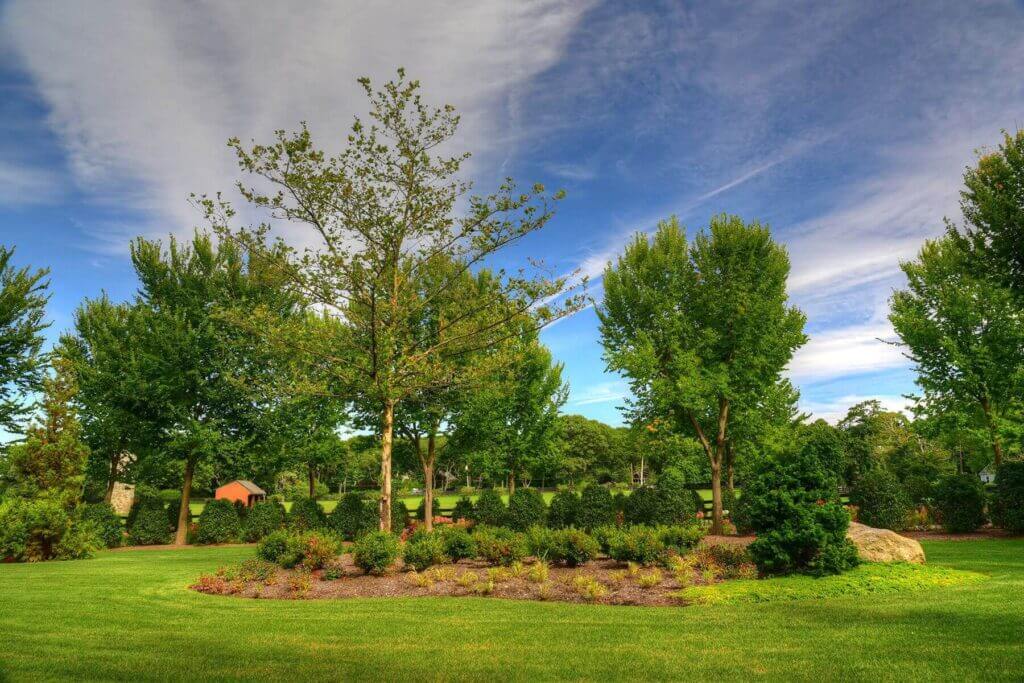 Mosquito Control Oyster Bay, NY