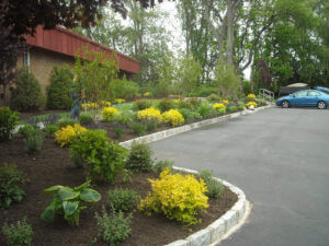 Mosquito Control Oyster Bay, NY