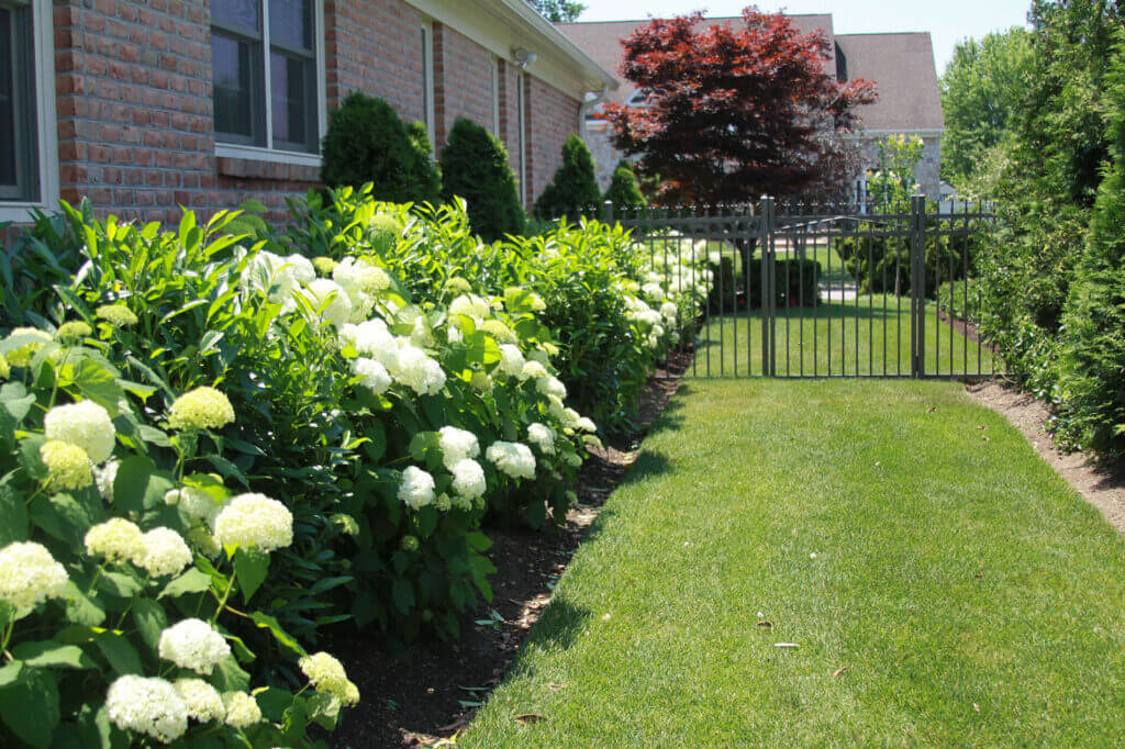 Mosquito Control Oyster Bay, NY