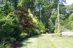 Mosquito Control Oyster Bay, NY