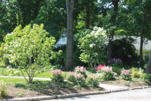 Mosquito Control Oyster Bay, NY