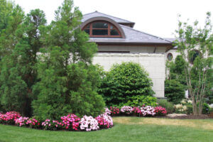 Mosquito Control Oyster Bay, NY