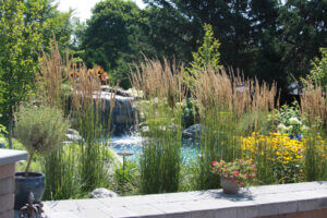 Mosquito Control Oyster Bay, NY
