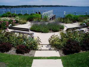 Mosquito Control Oyster Bay, NY