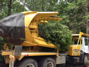 Mosquito Control Oyster Bay, NY
