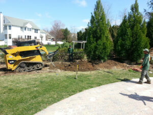 Mosquito Control Oyster Bay, NY
