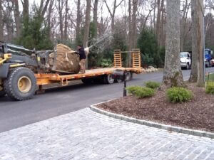 Mosquito Control Oyster Bay, NY