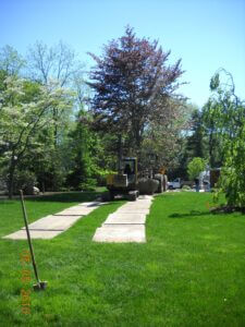 Mosquito Control Oyster Bay, NY