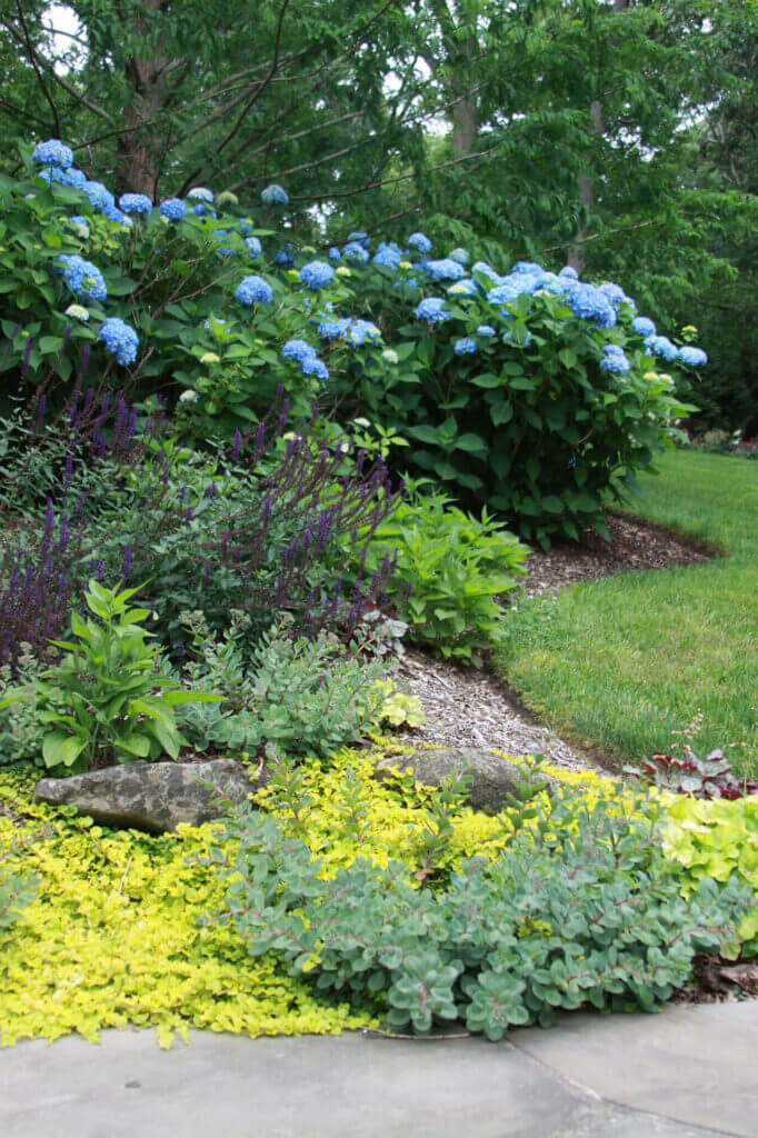 Mosquito Control Oyster Bay, NY