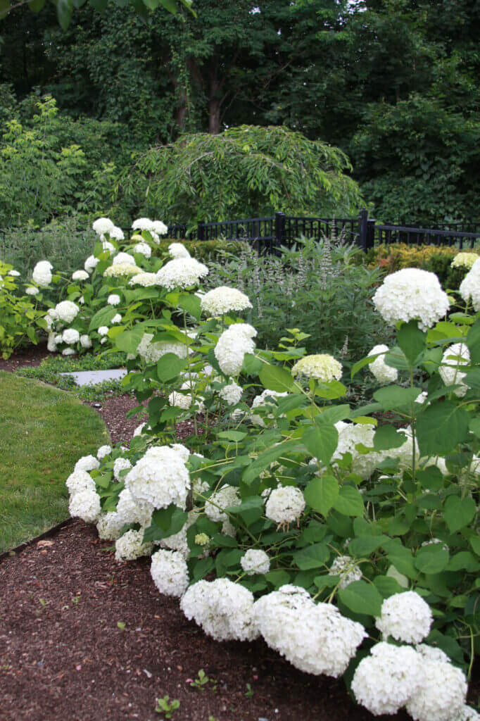 Tick Control Oyster Bay, NY