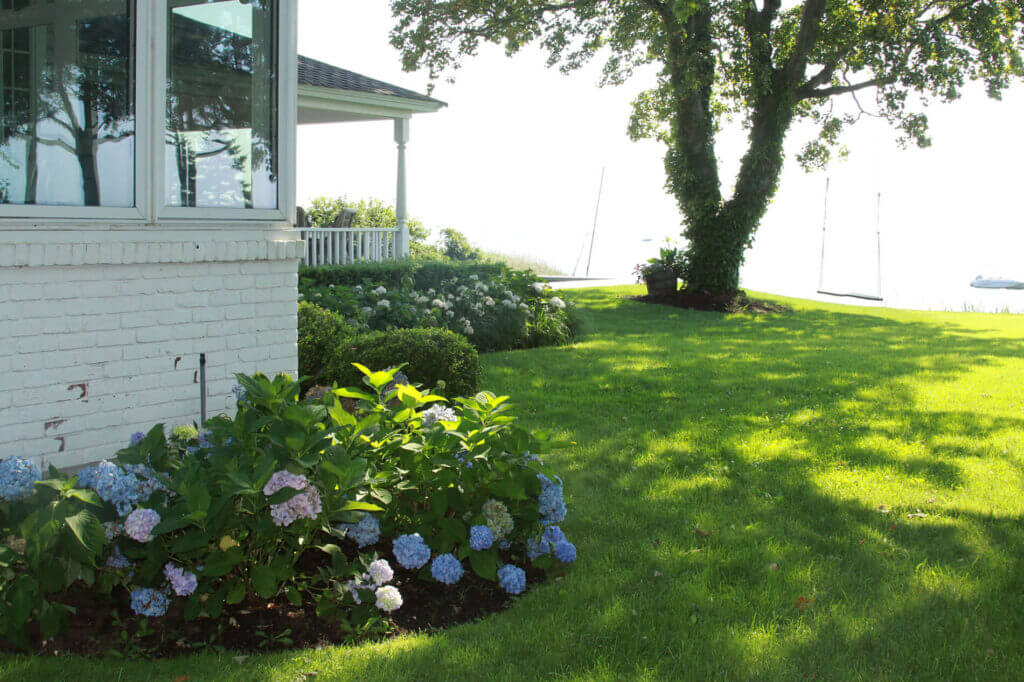 Mosquito Control Oyster Bay, NY