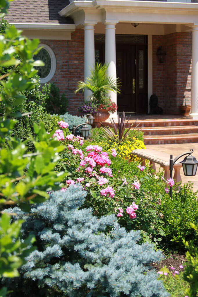 Tick Control Oyster Bay, NY