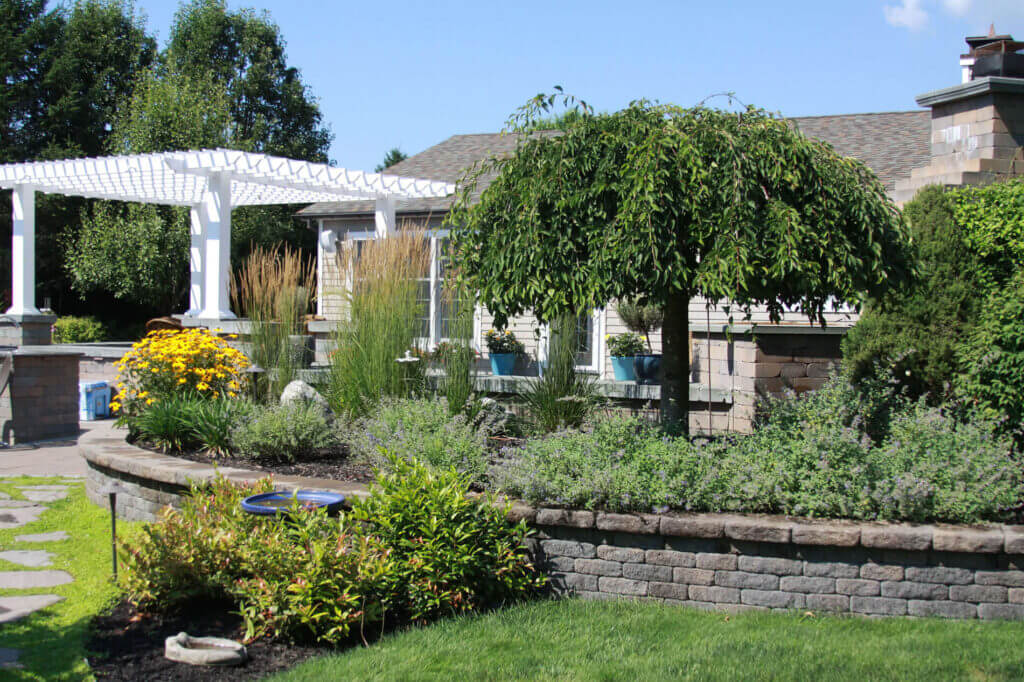 Mosquito Control Oyster Bay, NY