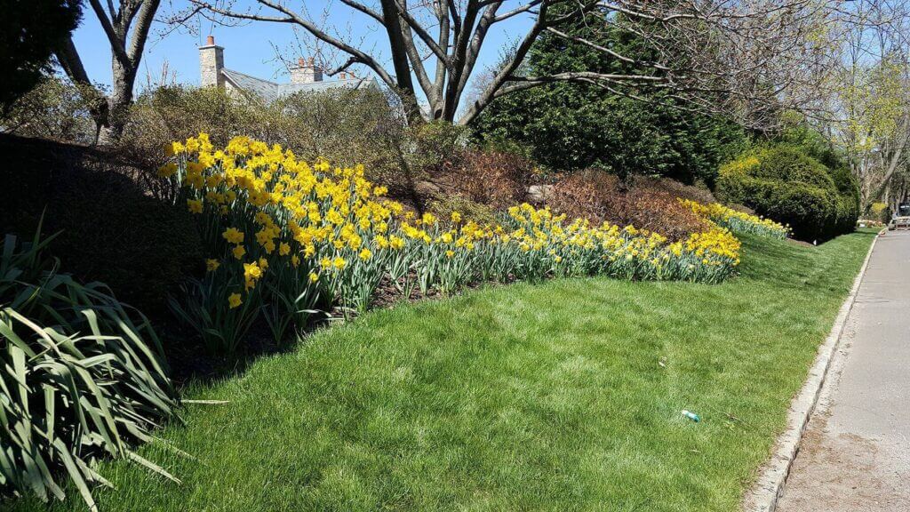 Tick Control Oyster Bay, NY
