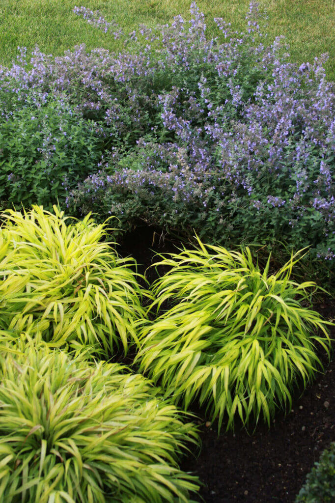 Tick Control Oyster Bay, NY