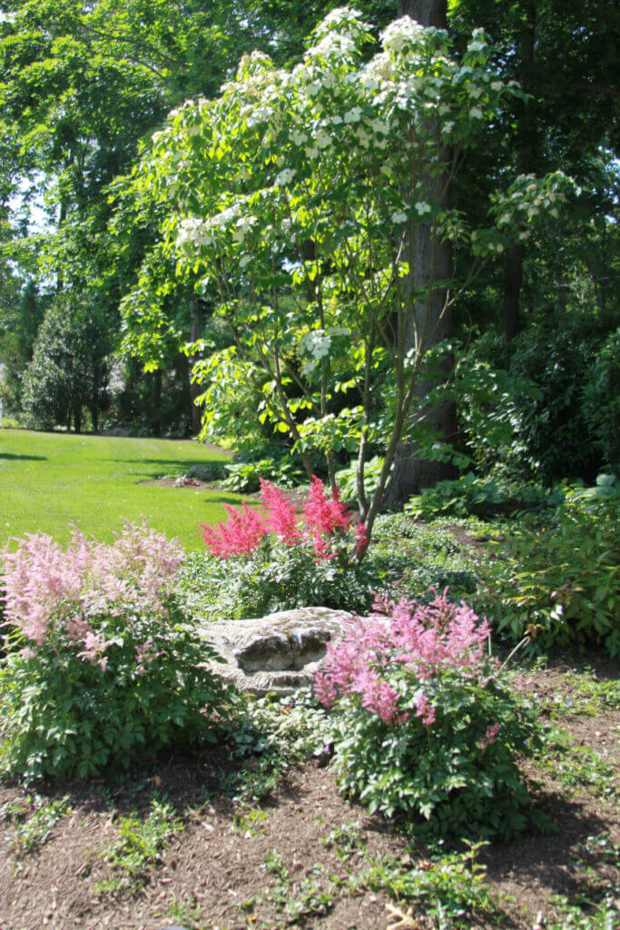 Mosquito Control Oyster Bay, NY