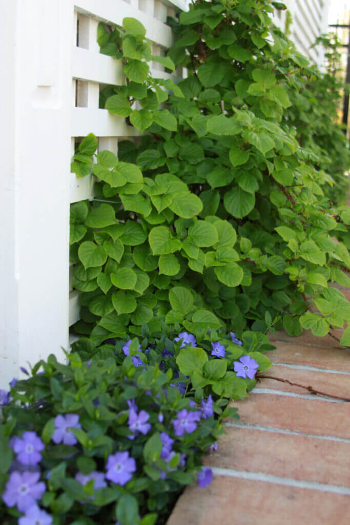Tick Control Oyster Bay, NY