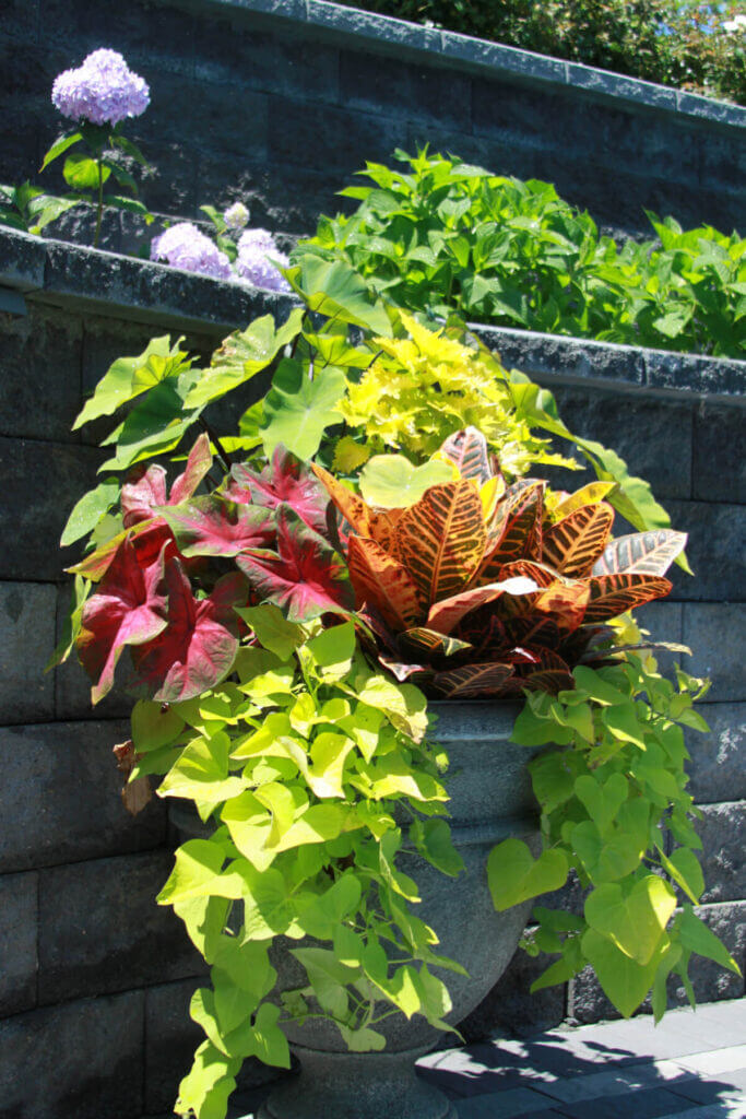 Tick Control Oyster Bay, NY