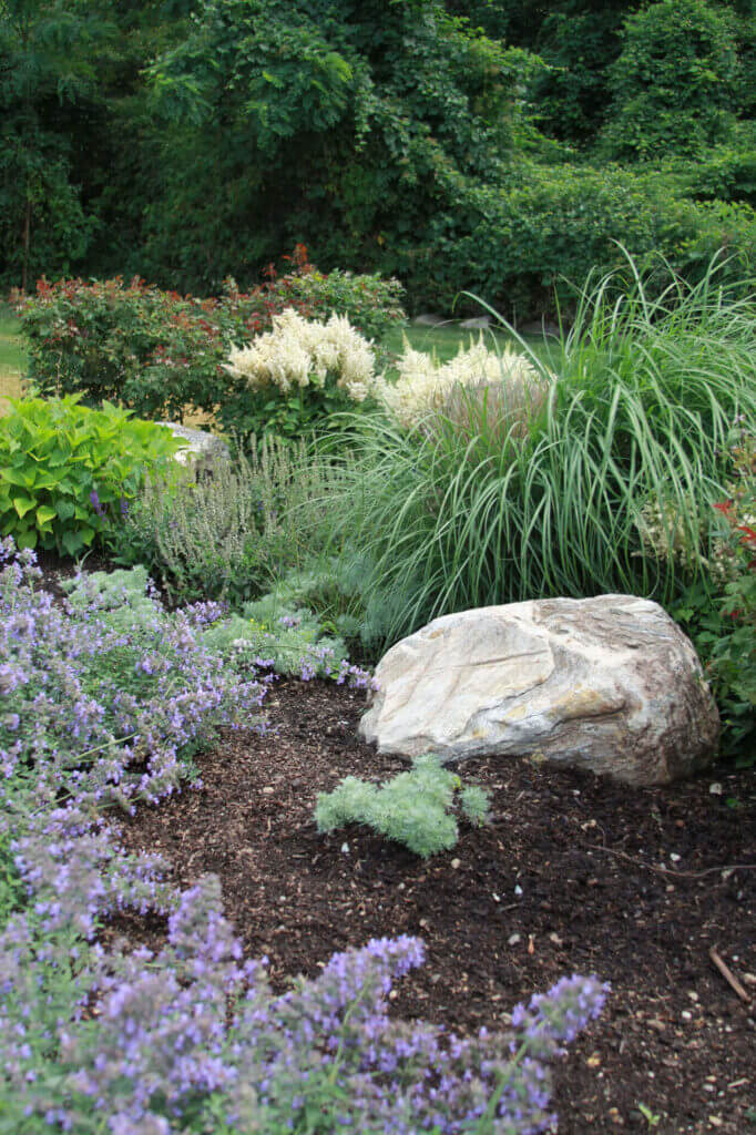 Mosquito Control Oyster Bay, NY