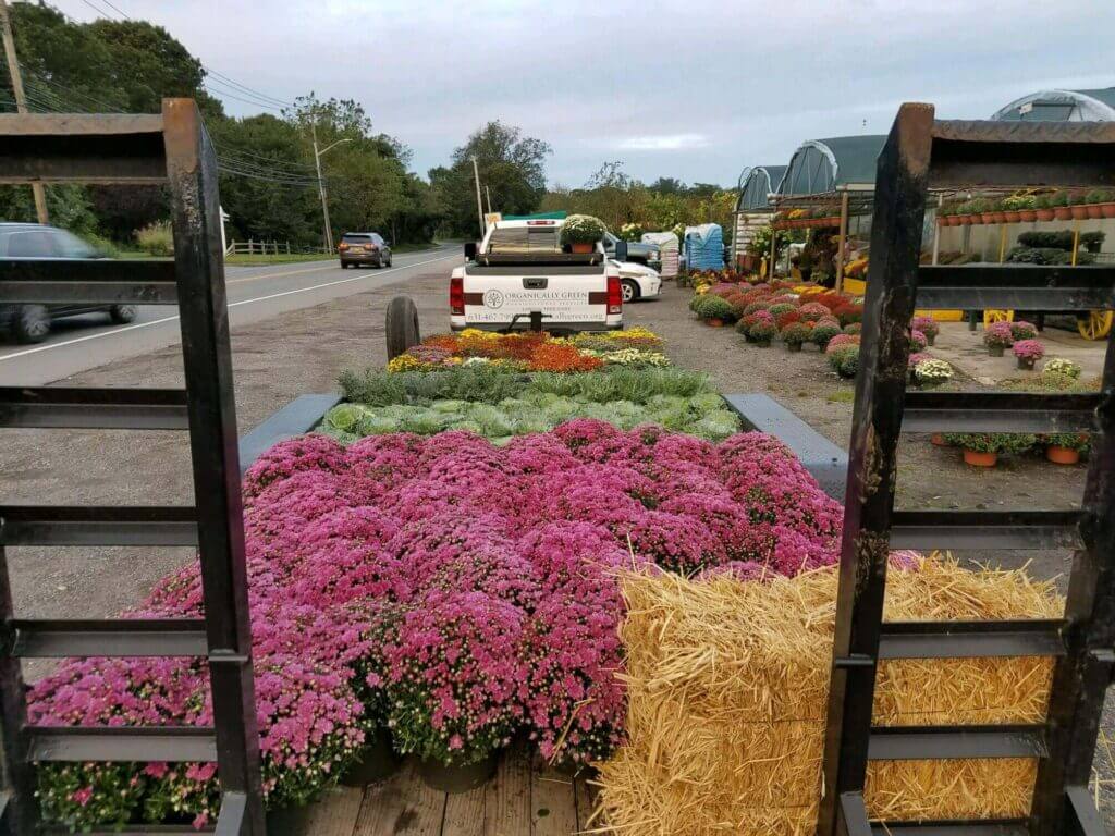 Tick Control Oyster Bay, NY
