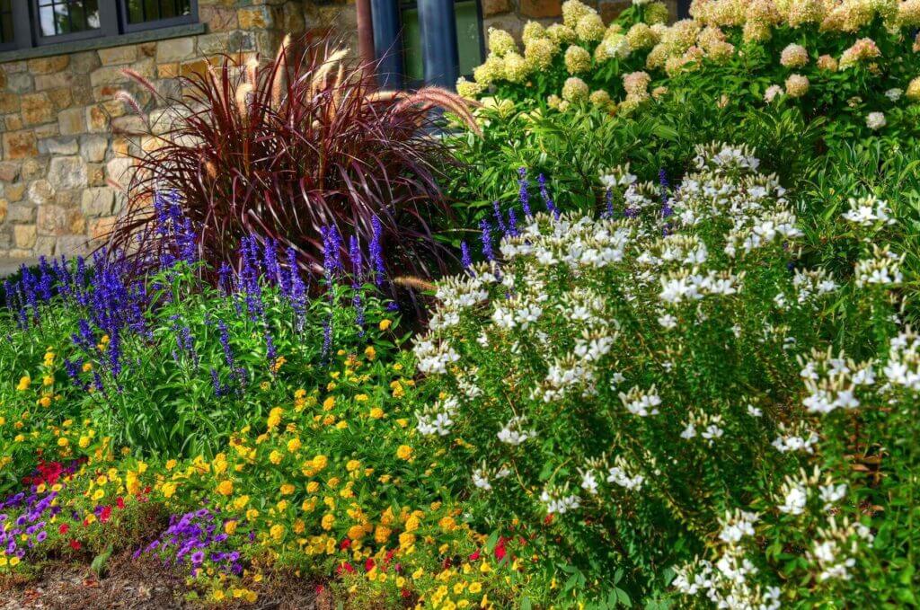 Mosquito Control Oyster Bay, NY