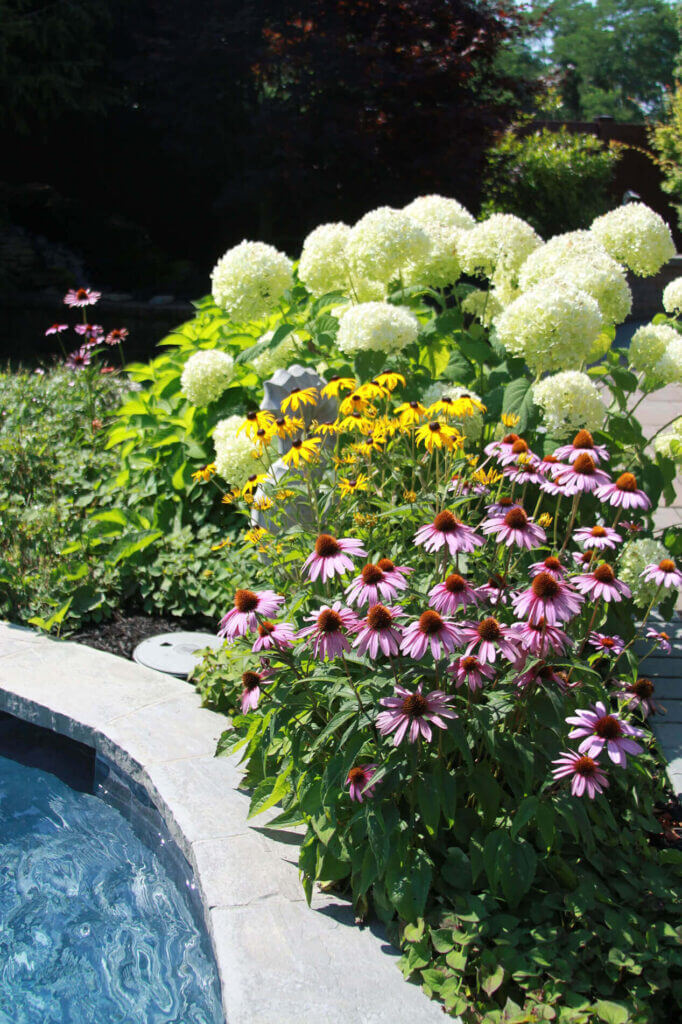 Tick Control Oyster Bay, NY