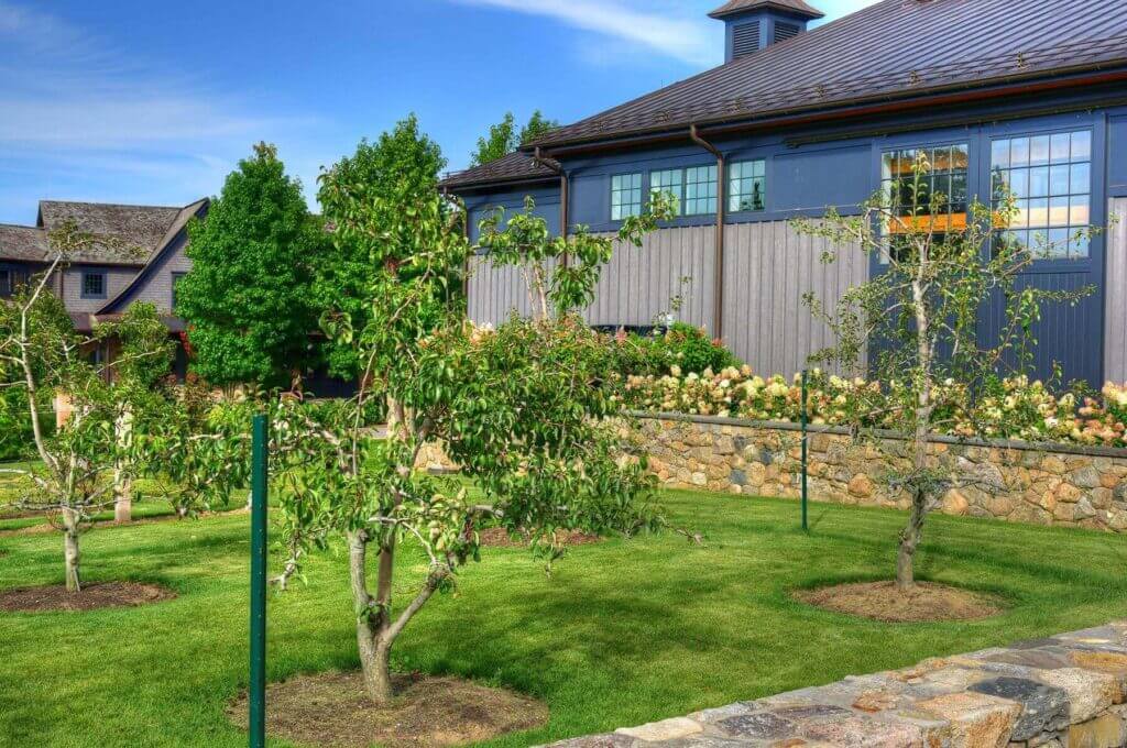 Tick Control Oyster Bay, NY