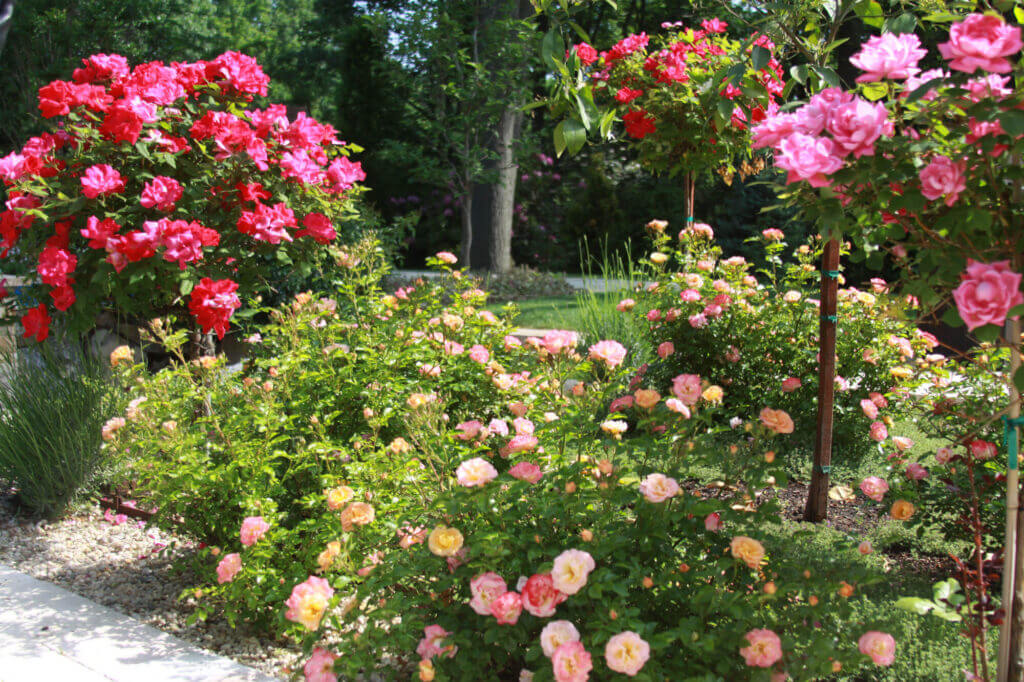 Tick Control Oyster Bay, NY
