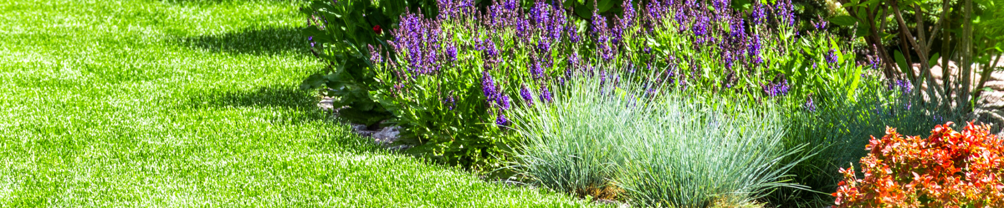 Mosquito Control Oyster Bay, NY
