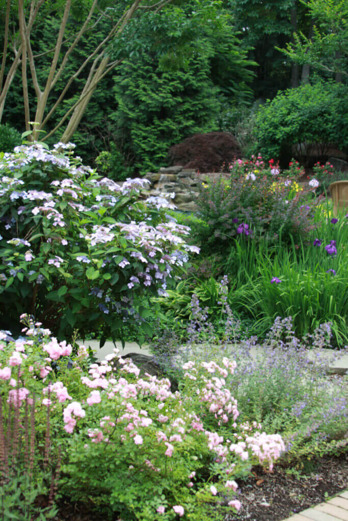 Mosquito Control Oyster Bay, NY