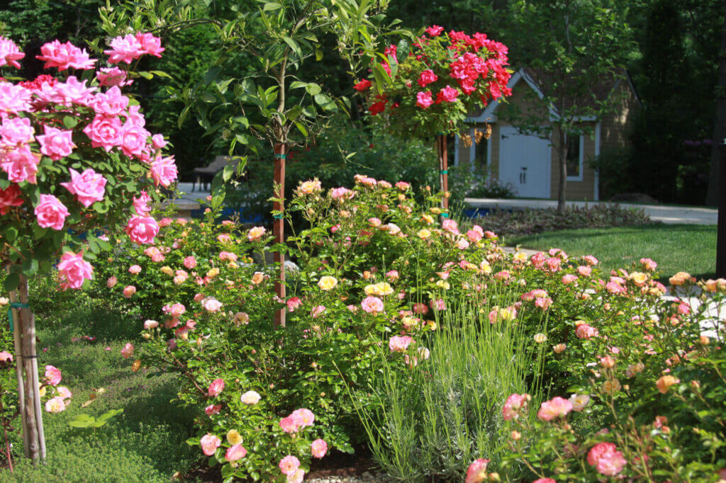 Tick Control Oyster Bay, NY