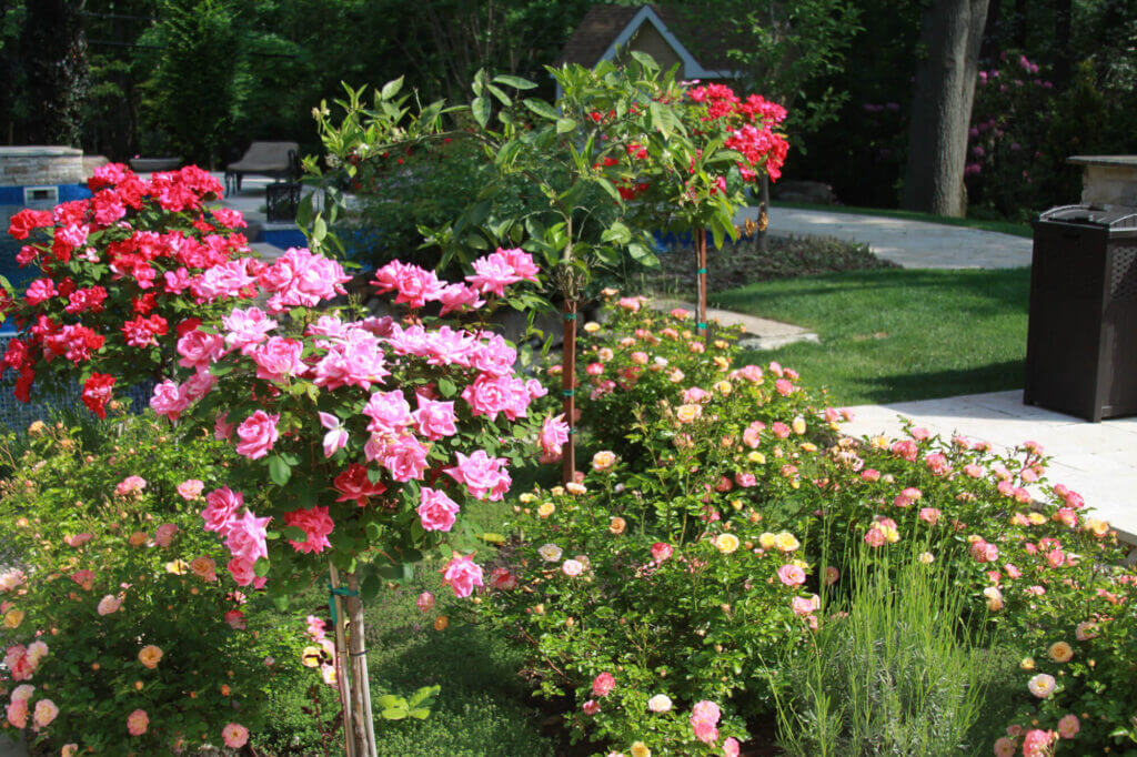 Tick Control Oyster Bay, NY