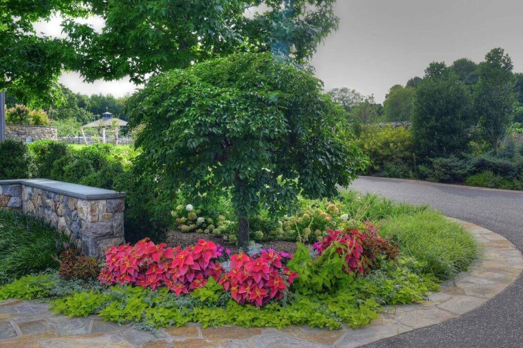 Tick Control Oyster Bay, NY