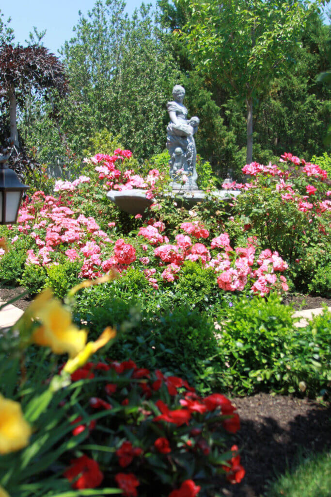 Mosquito Control Oyster Bay, NY