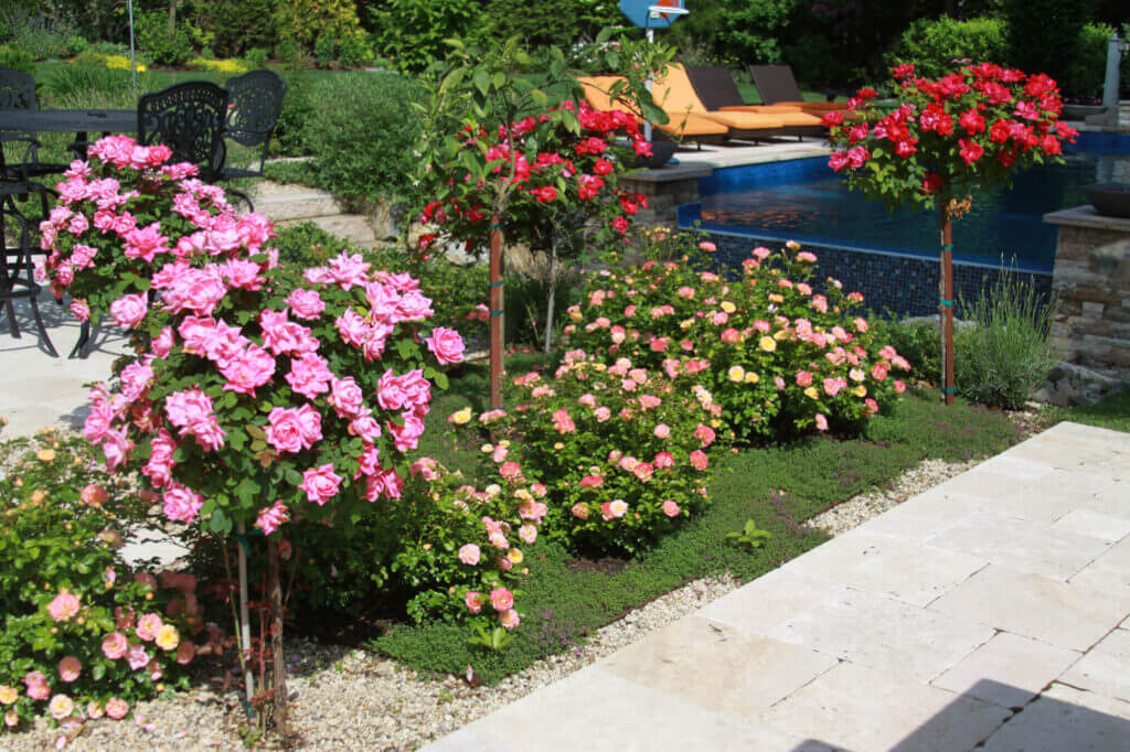 Mosquito Control Oyster Bay, NY