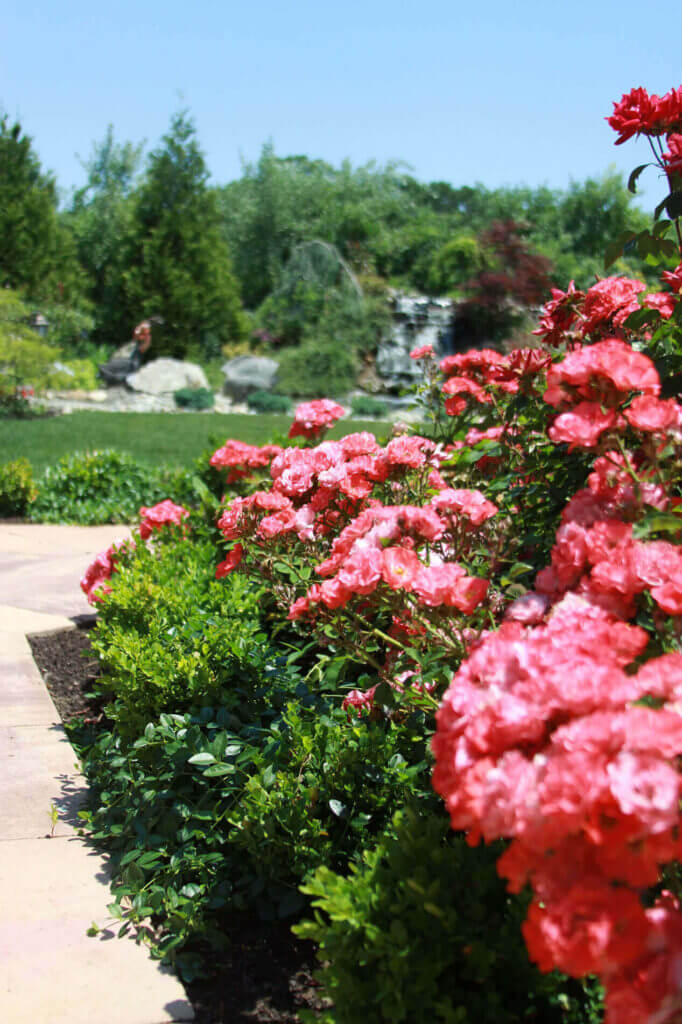 Mosquito Control Oyster Bay, NY